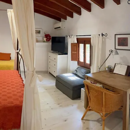 Separates Dachterrassen-zimmer Mit Privatpool * El Largo